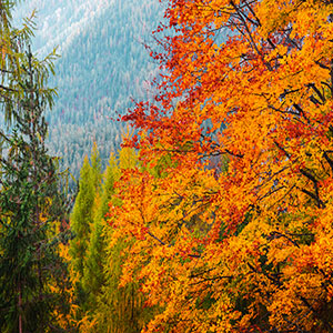 October Day